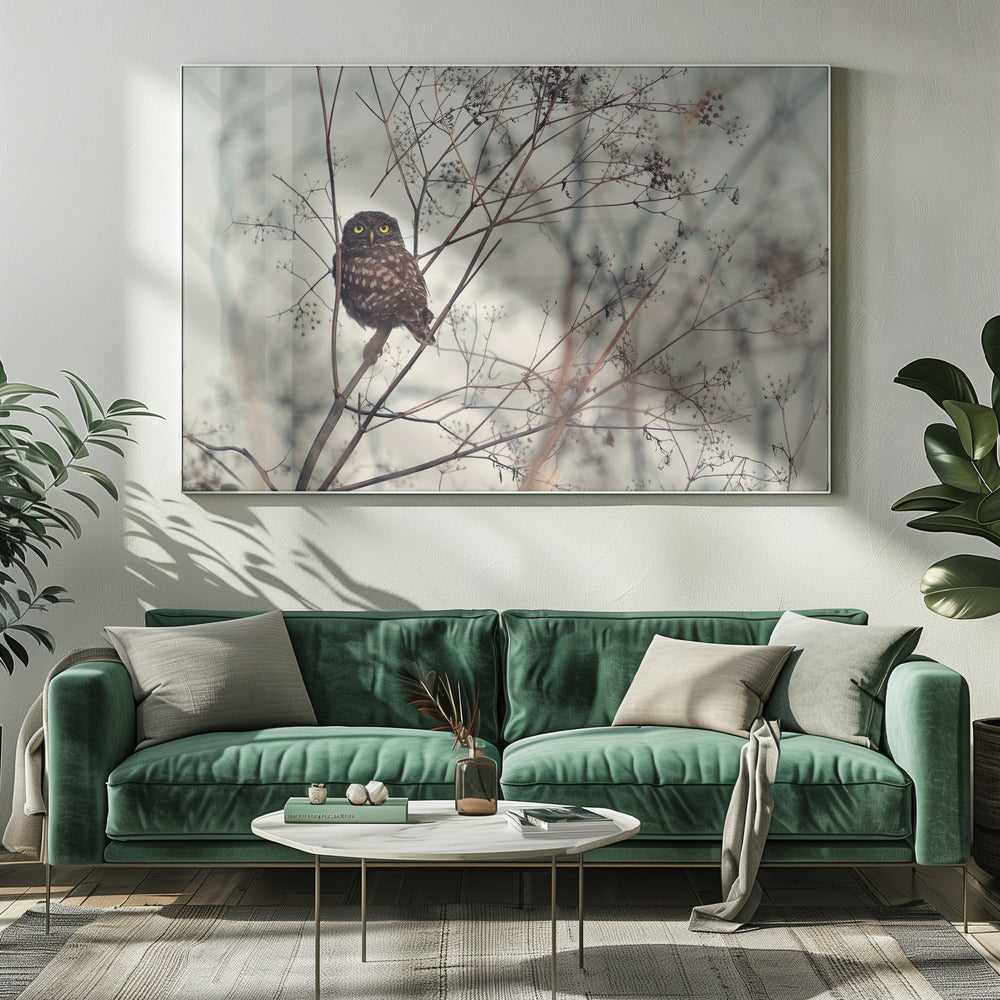 Look at Me! | Canvas