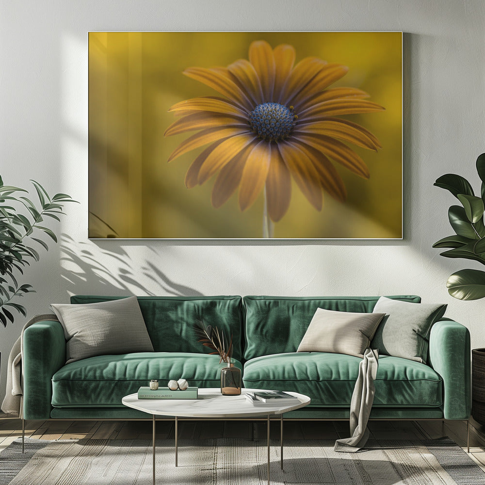 Sunshine Daisy | Canvas