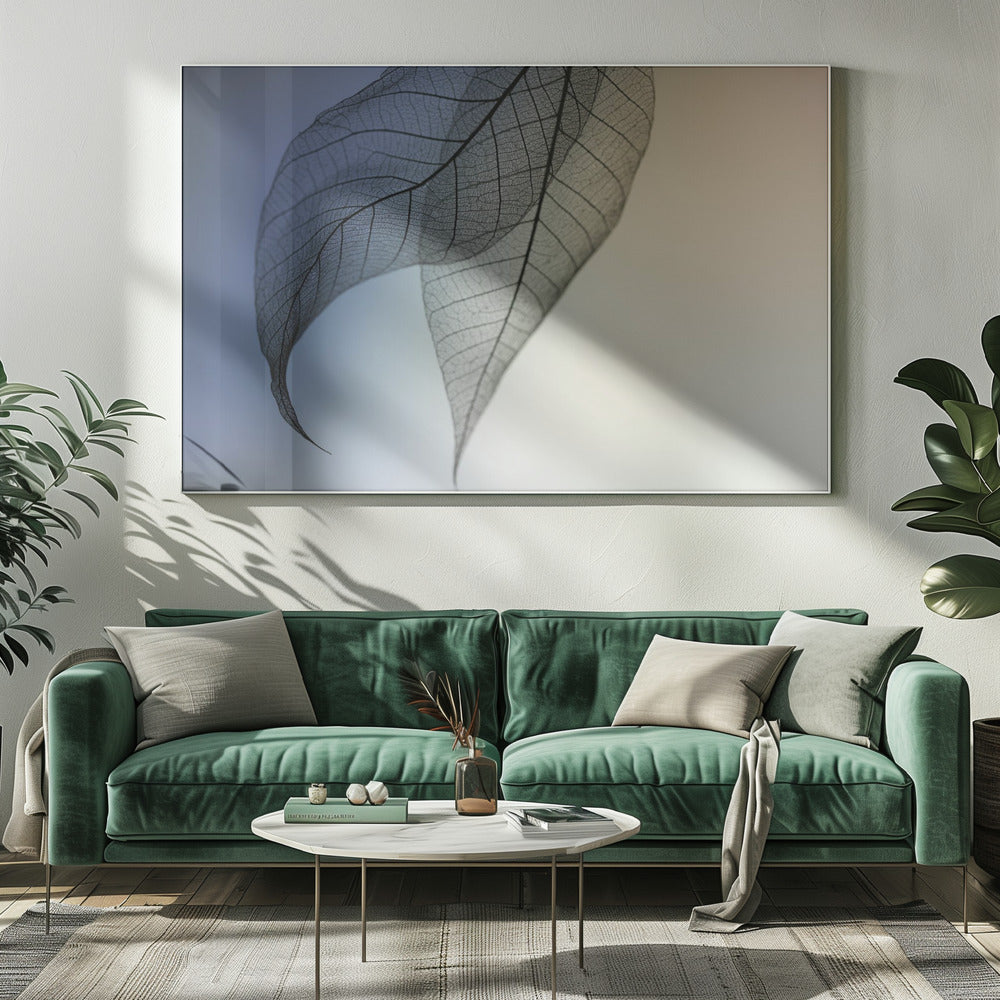 Cavatina | Canvas