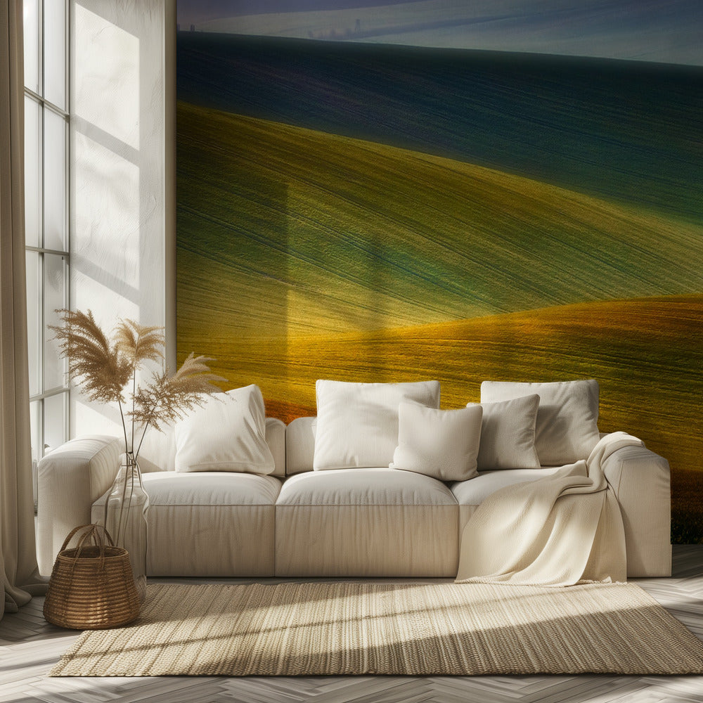 Spring fields | Wallpaper