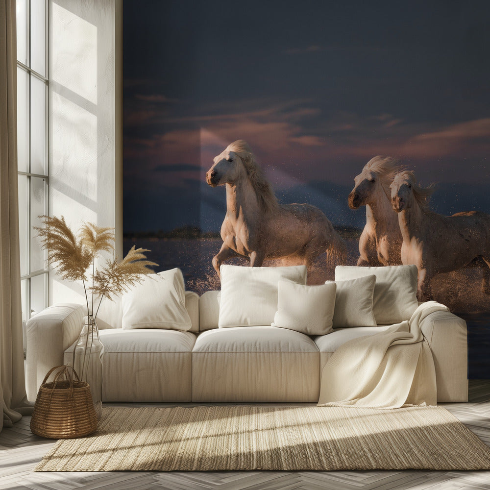 Angels of Camargue | Wallpaper