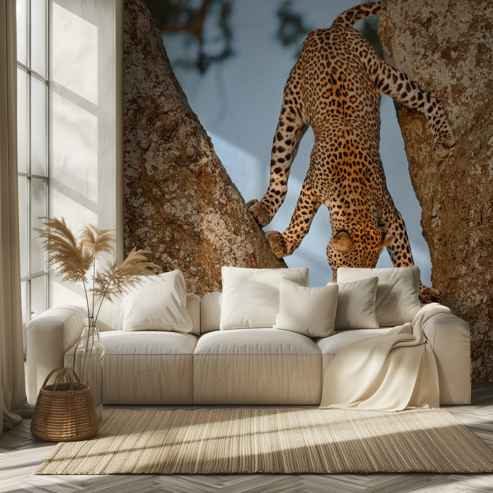 Upside Down | Wallpaper