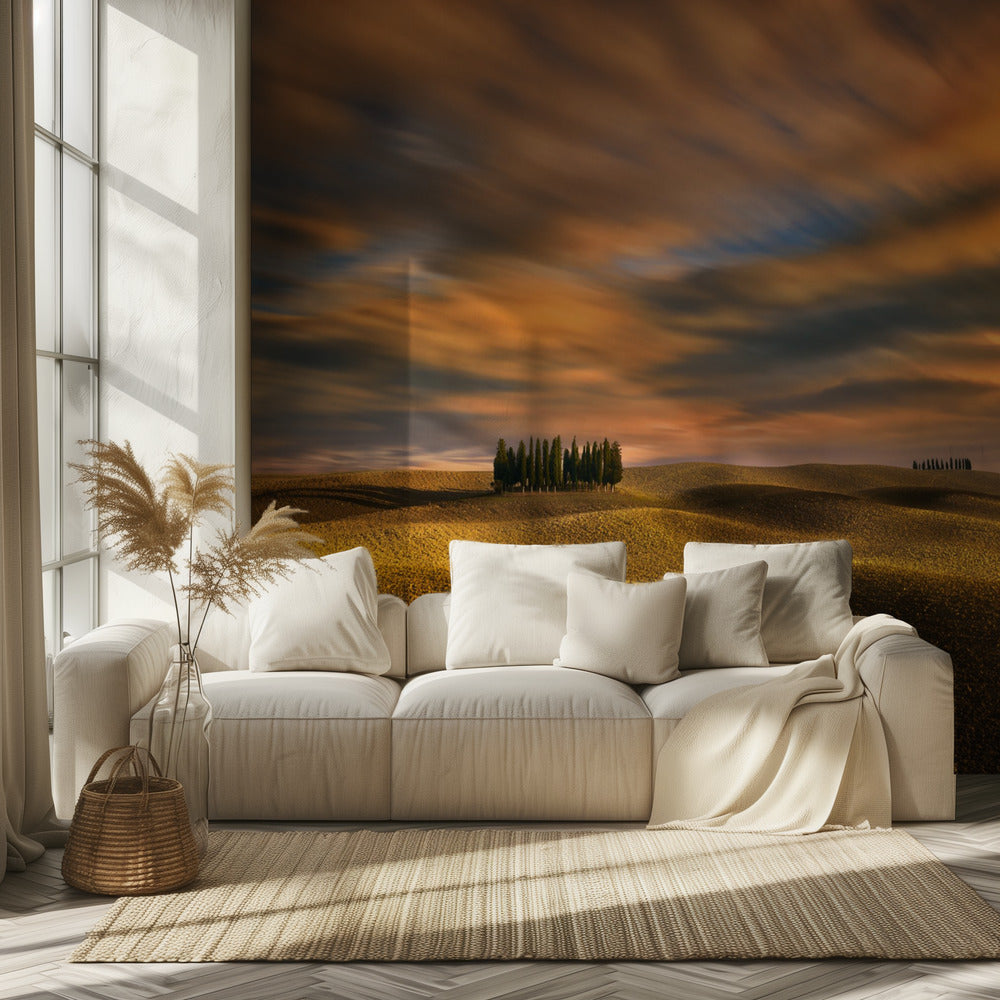 Cypresses... | Wallpaper