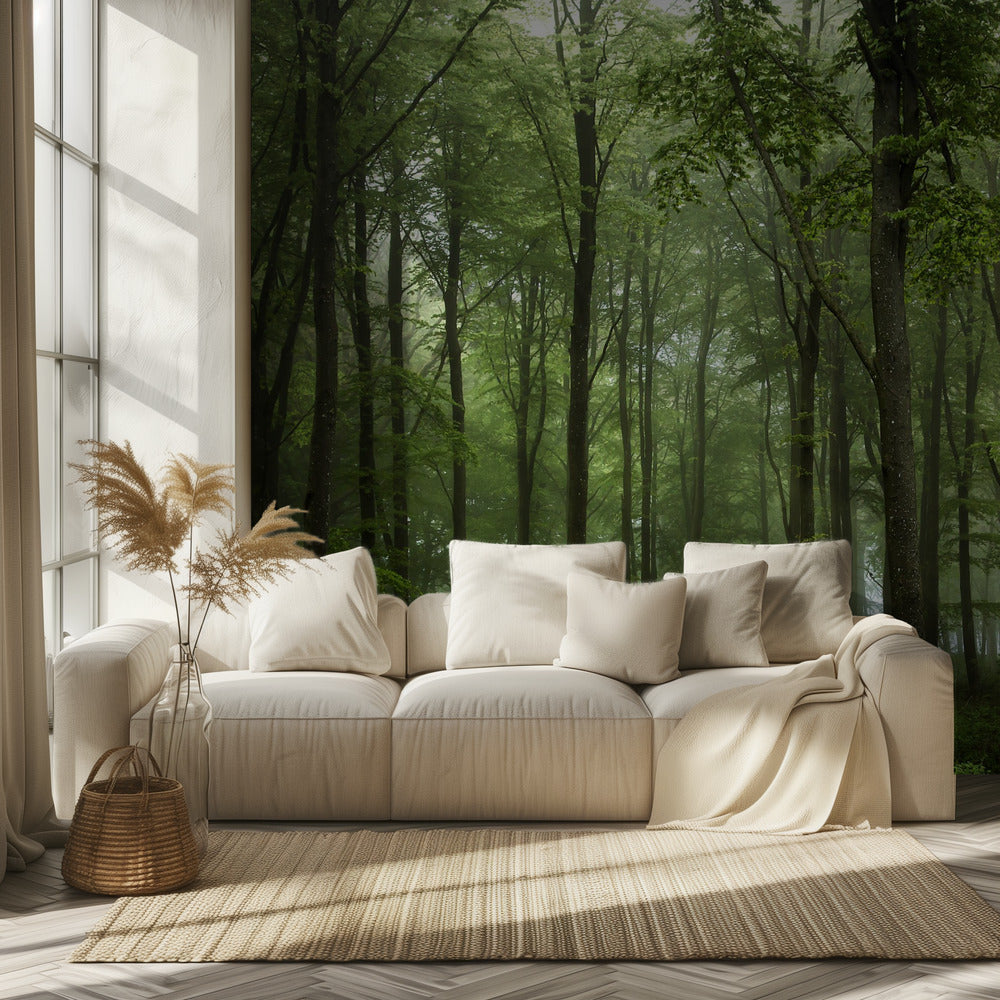 Forest... | Wallpaper