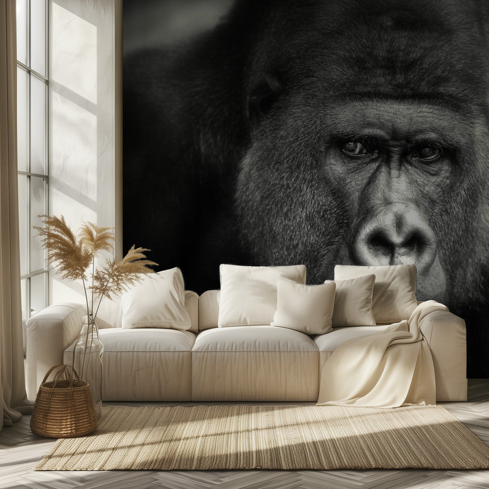 LITTLE SMILE .... | Wallpaper