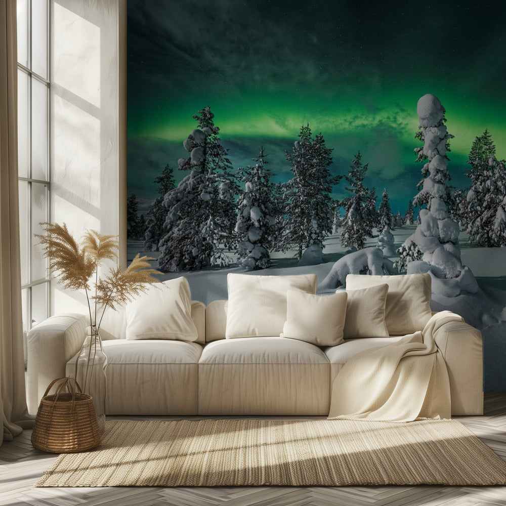 polar night | Wallpaper