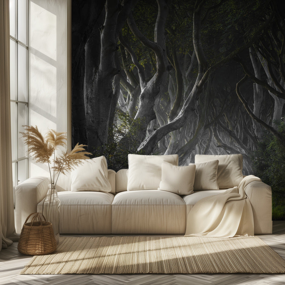 DARK HEDGES | Wallpaper