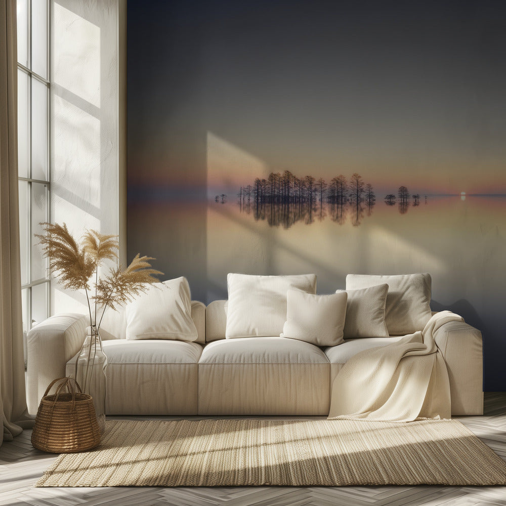 Lake Mattamuskeet Memory | Wallpaper