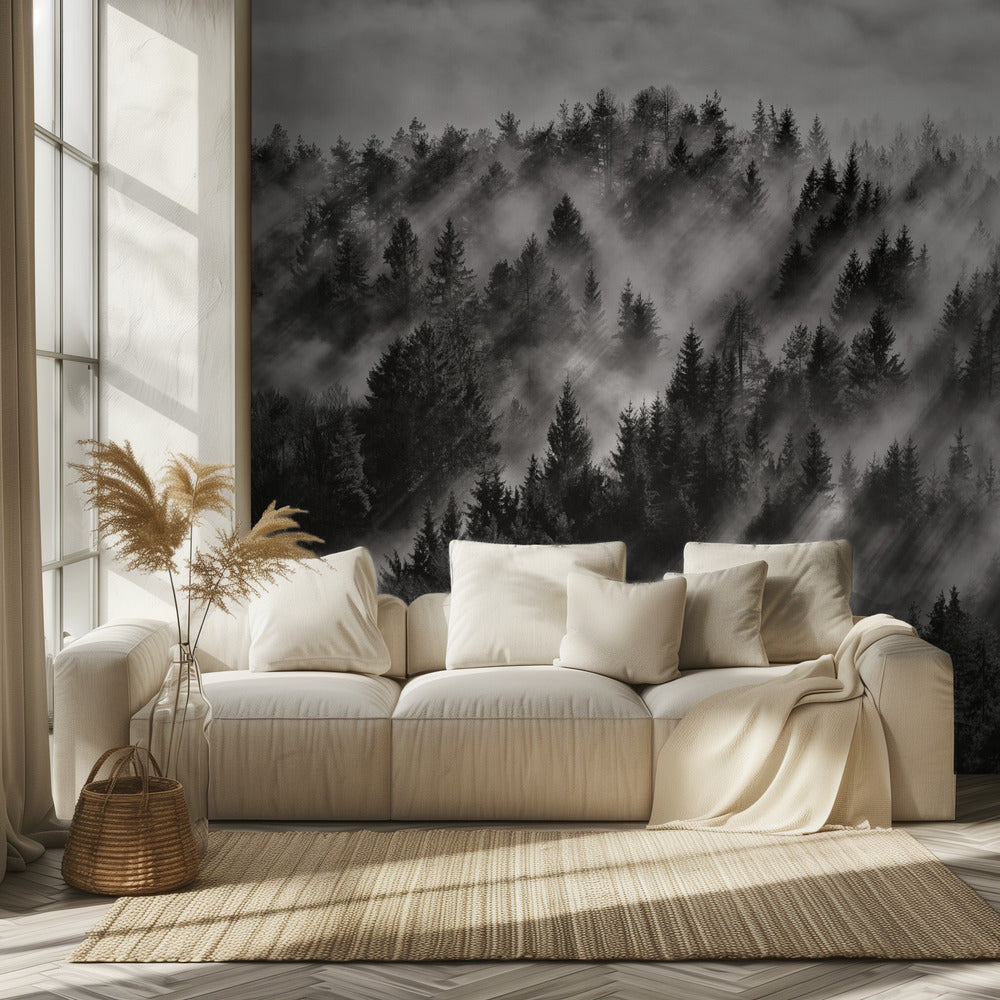 Sundance No.1 | Wallpaper