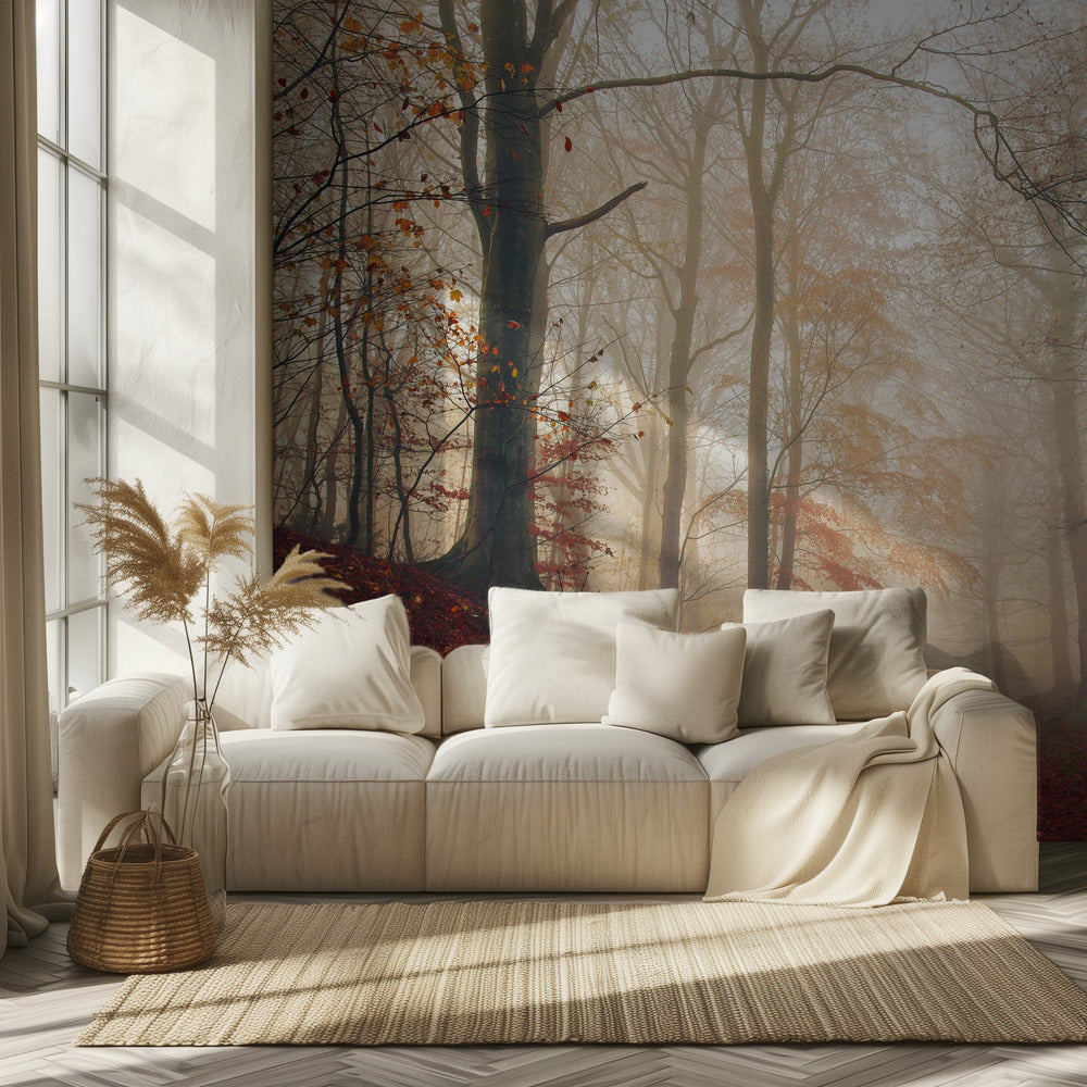 Waiting for the deer. | Wallpaper