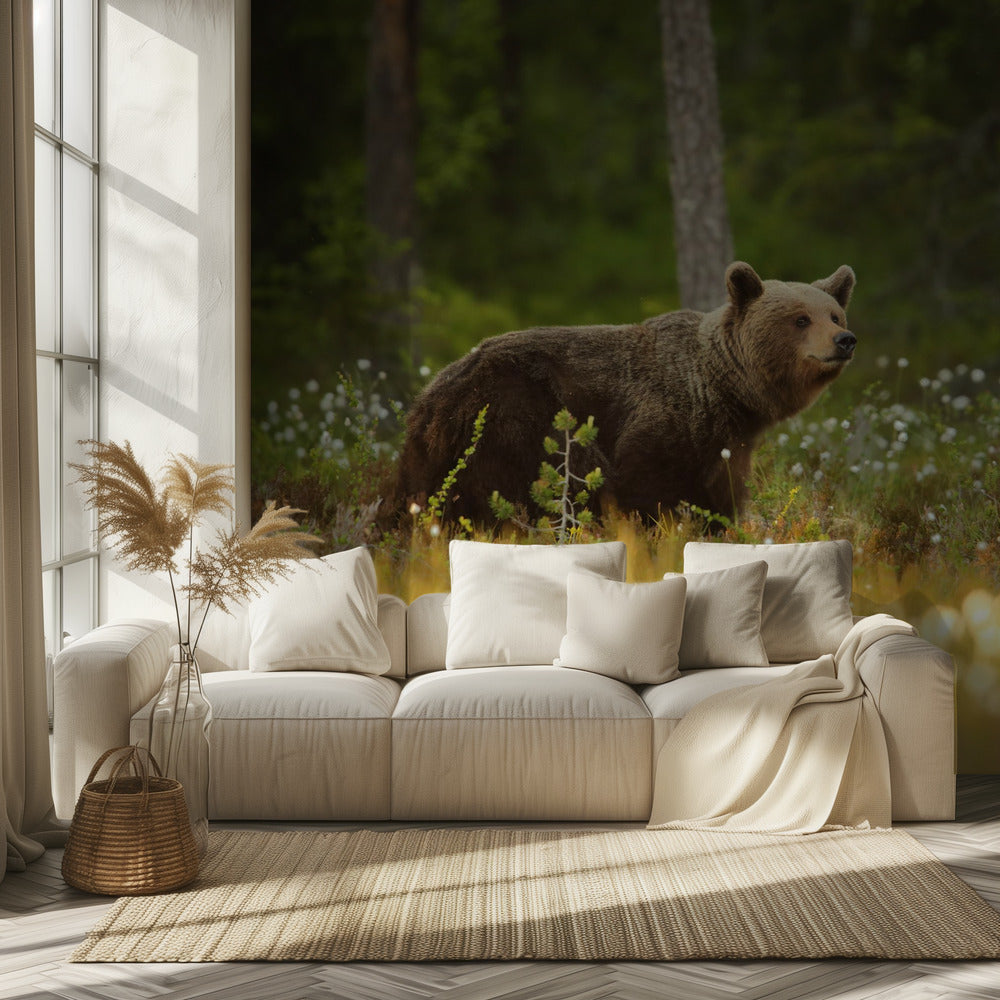 Brown Bear | Wallpaper