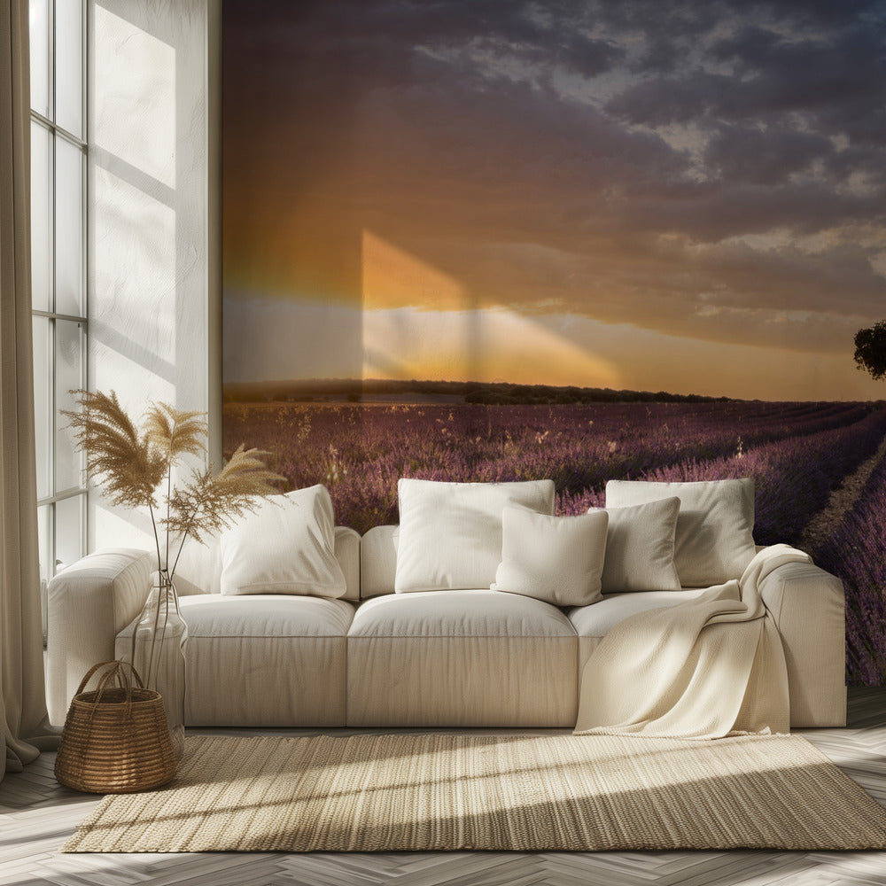 DESTINATION LAVENDER | Wallpaper