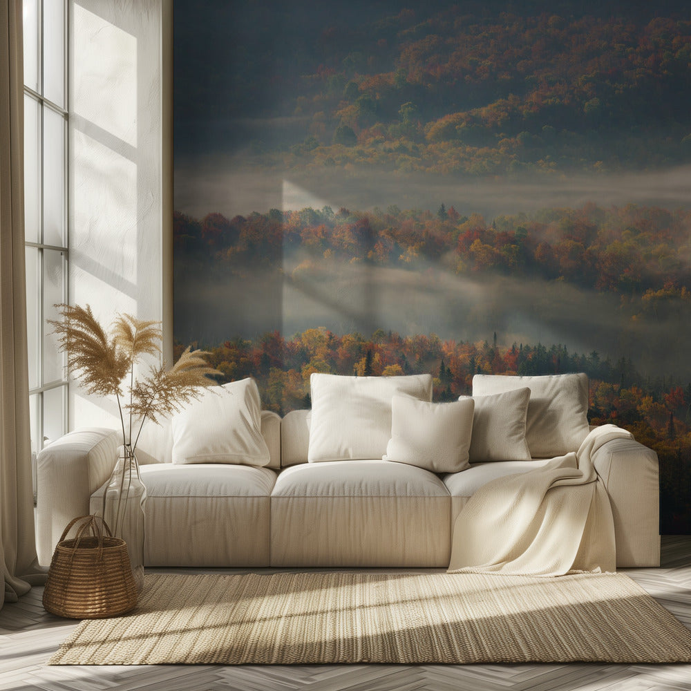 Misty Morning | Wallpaper