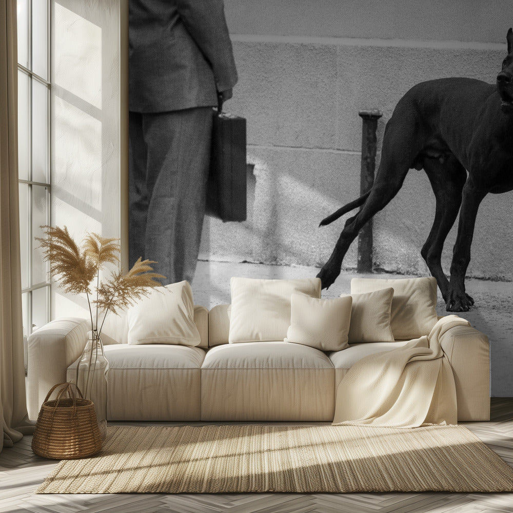 Great dane bodyguard (from the series &quot;Boy meets girl&quot;) | Wallpaper