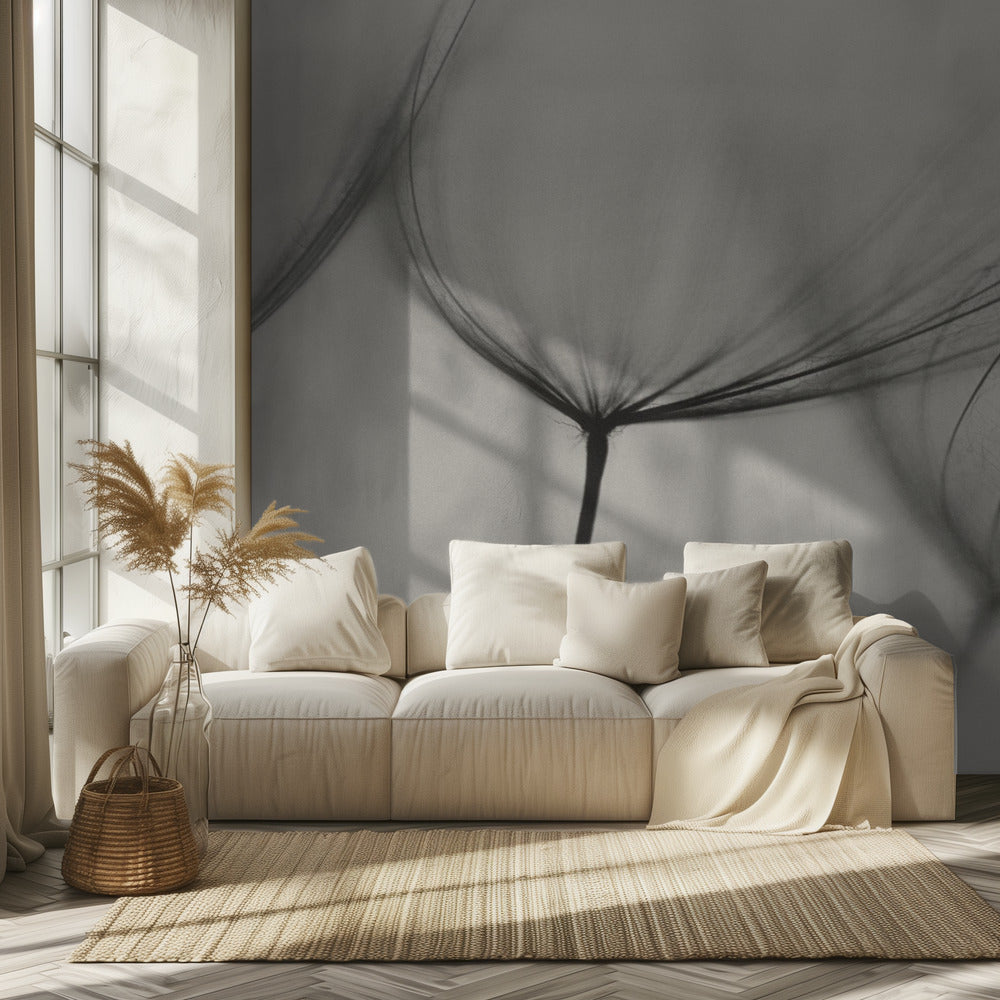 Tragopogon | Wallpaper