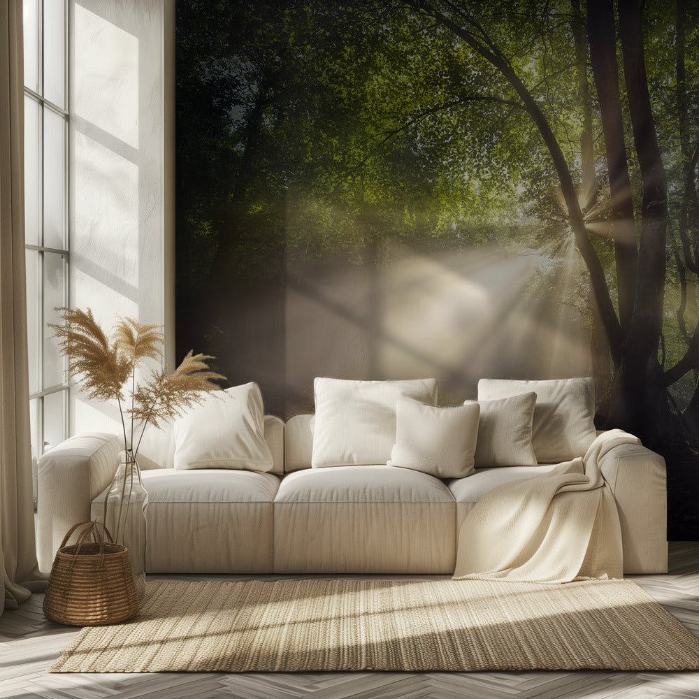 The morning light | Wallpaper