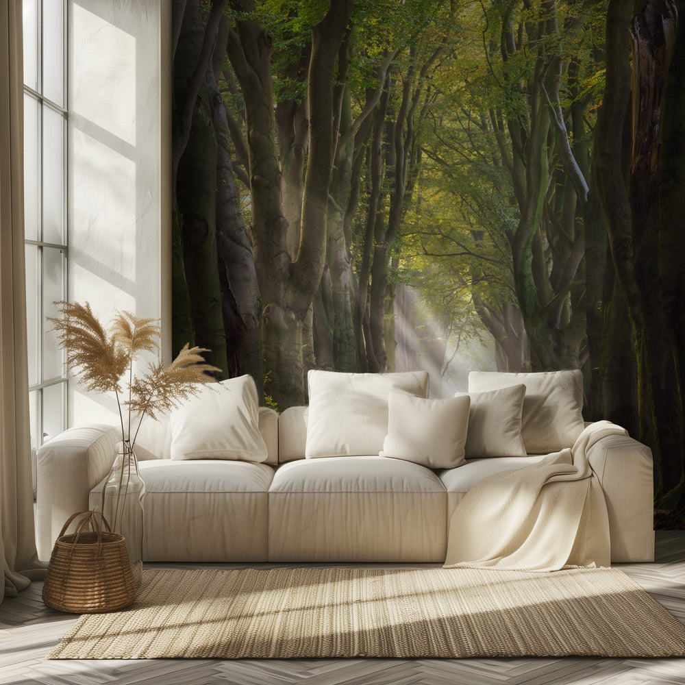 A Glorious Day | Wallpaper