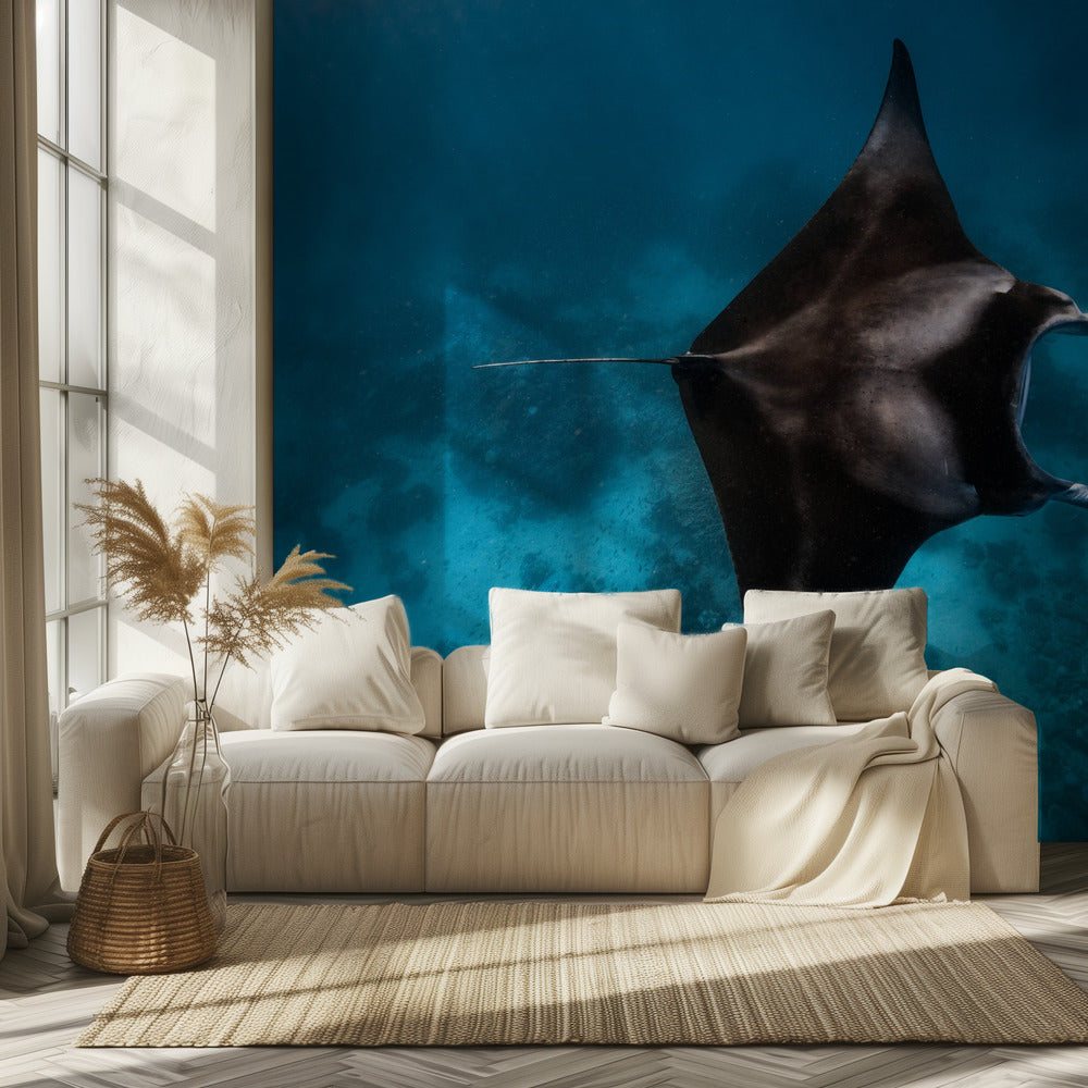 Manta fly!!! | Wallpaper