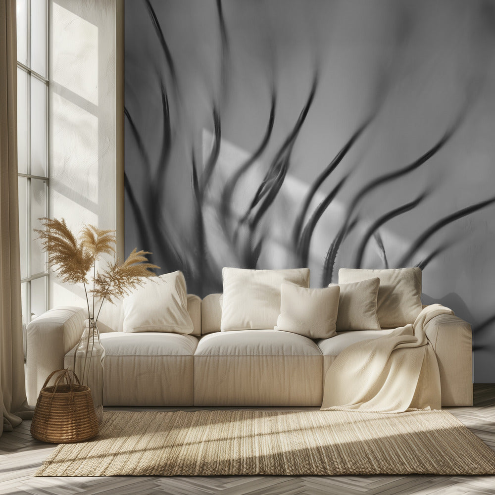 Untitled | Wallpaper