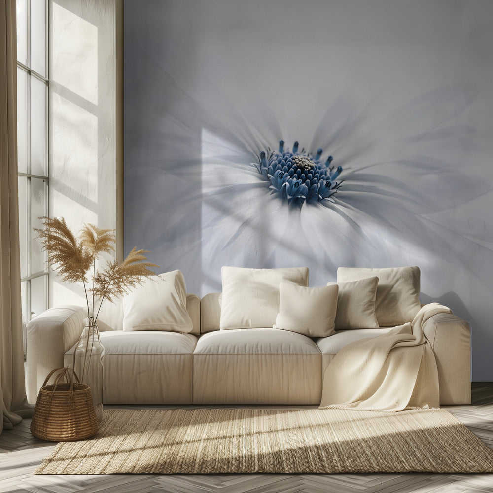 Serenity | Wallpaper