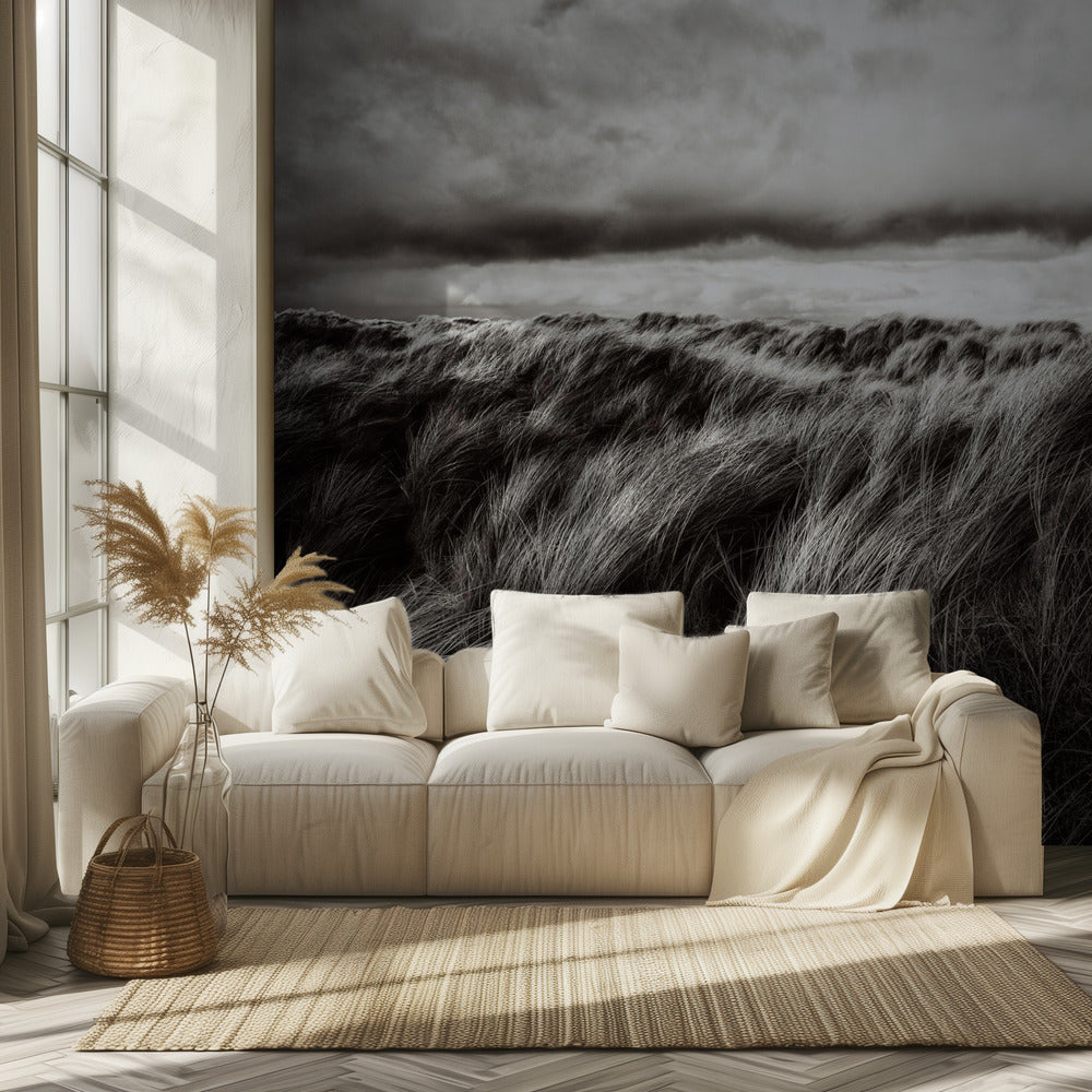 Dunes of grass | Wallpaper