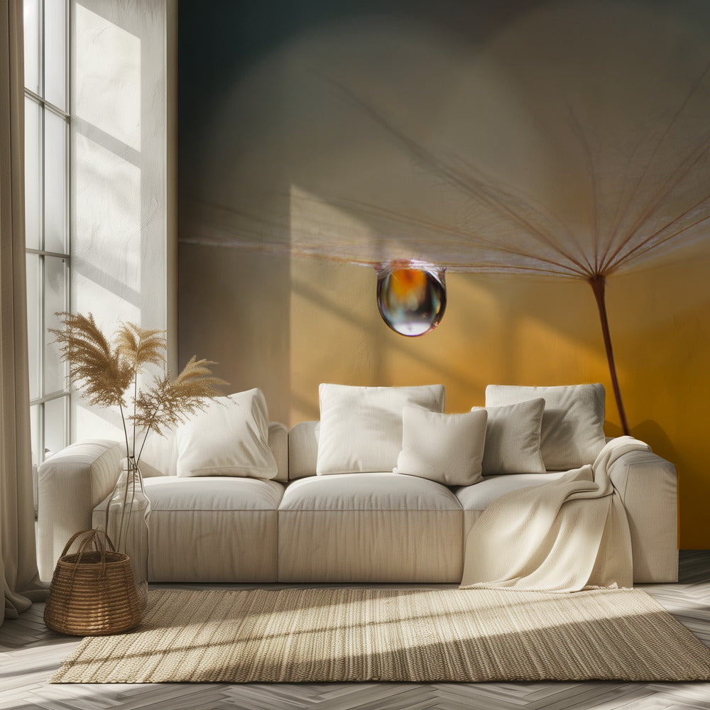 Little Night Music... | Wallpaper