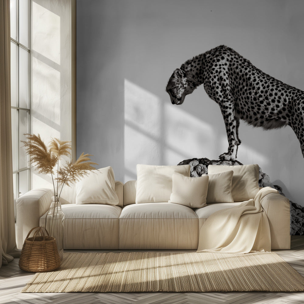 the hunter | Wallpaper