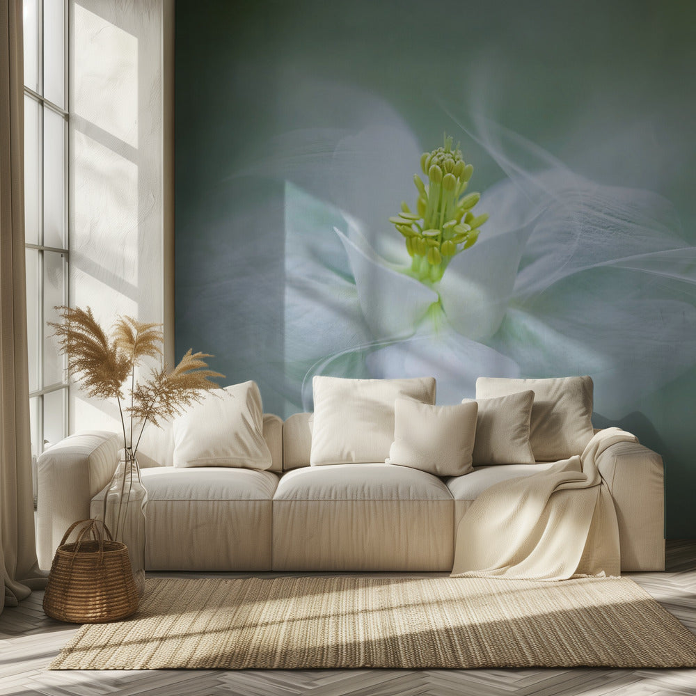 Mystical | Wallpaper