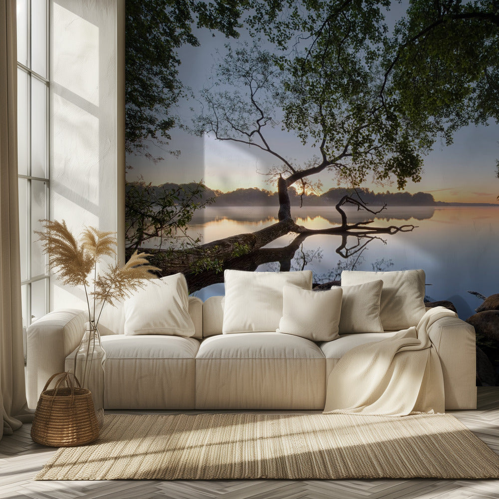 Lake view | Wallpaper