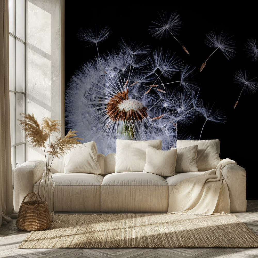 Dandelion Blowing | Wallpaper