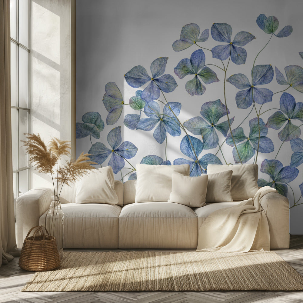 Hydrangea | Wallpaper