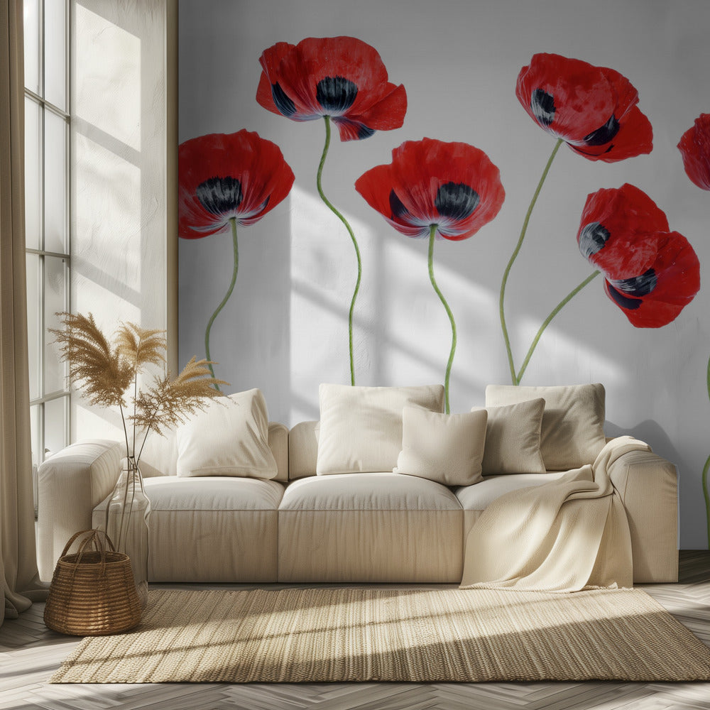 Ladybird Poppies | Wallpaper