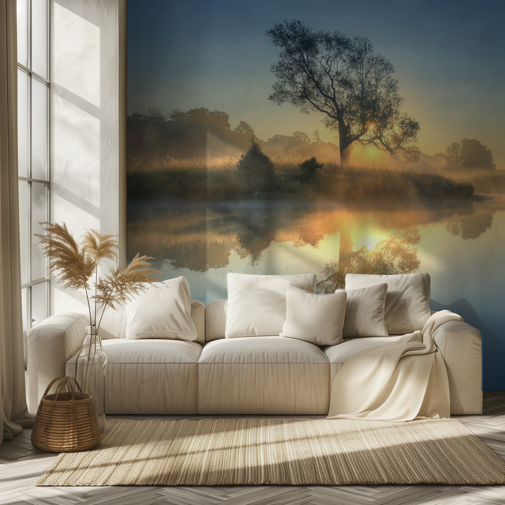 Morning reflection | Wallpaper