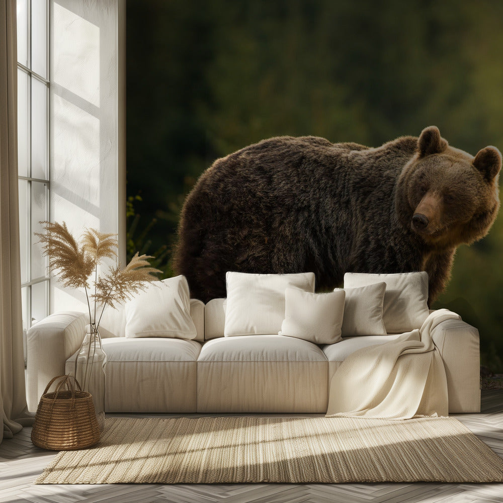 Backlit bear | Wallpaper