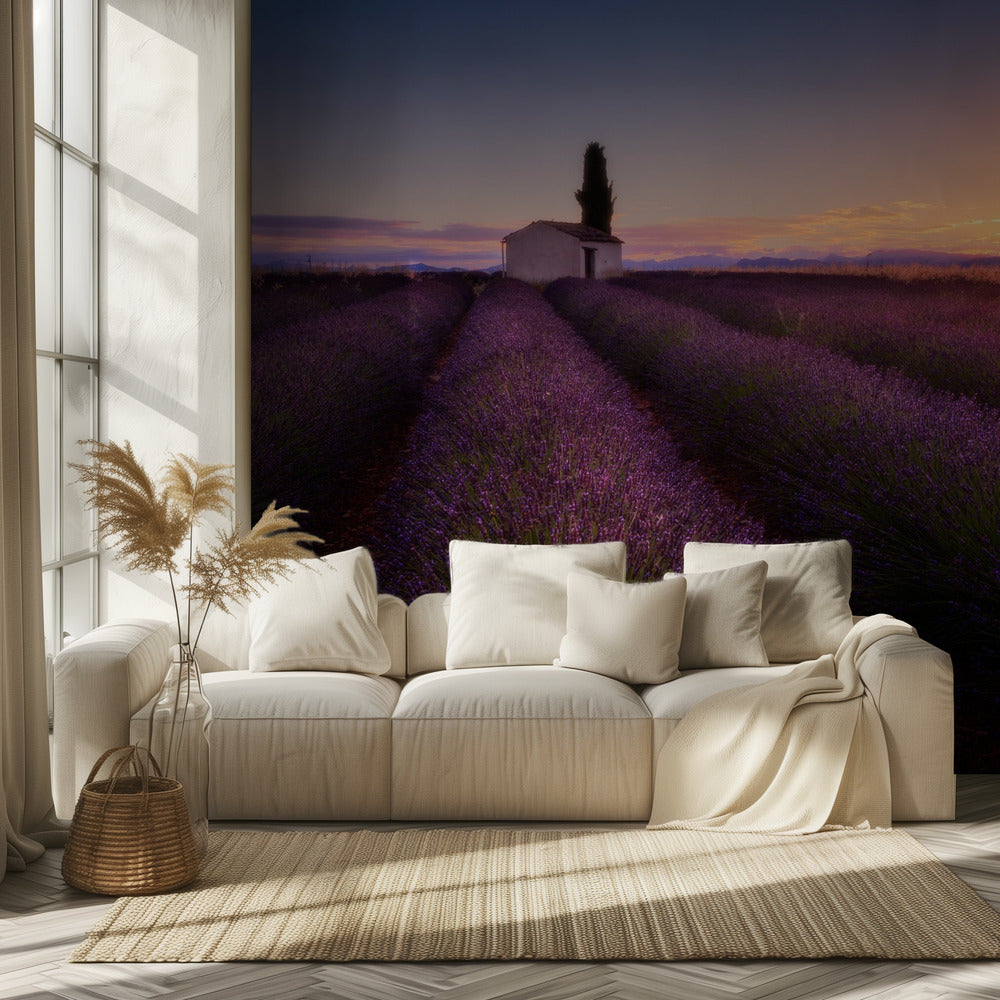 Provence Lavender | Wallpaper
