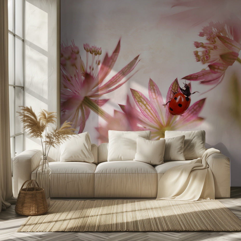 Ladybird and pink flowers | Wallpaper