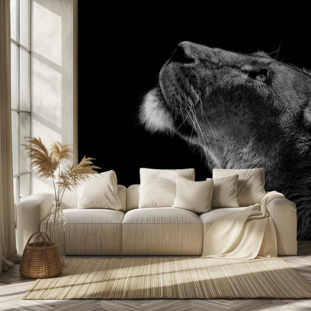 Looking Up | Wallpaper