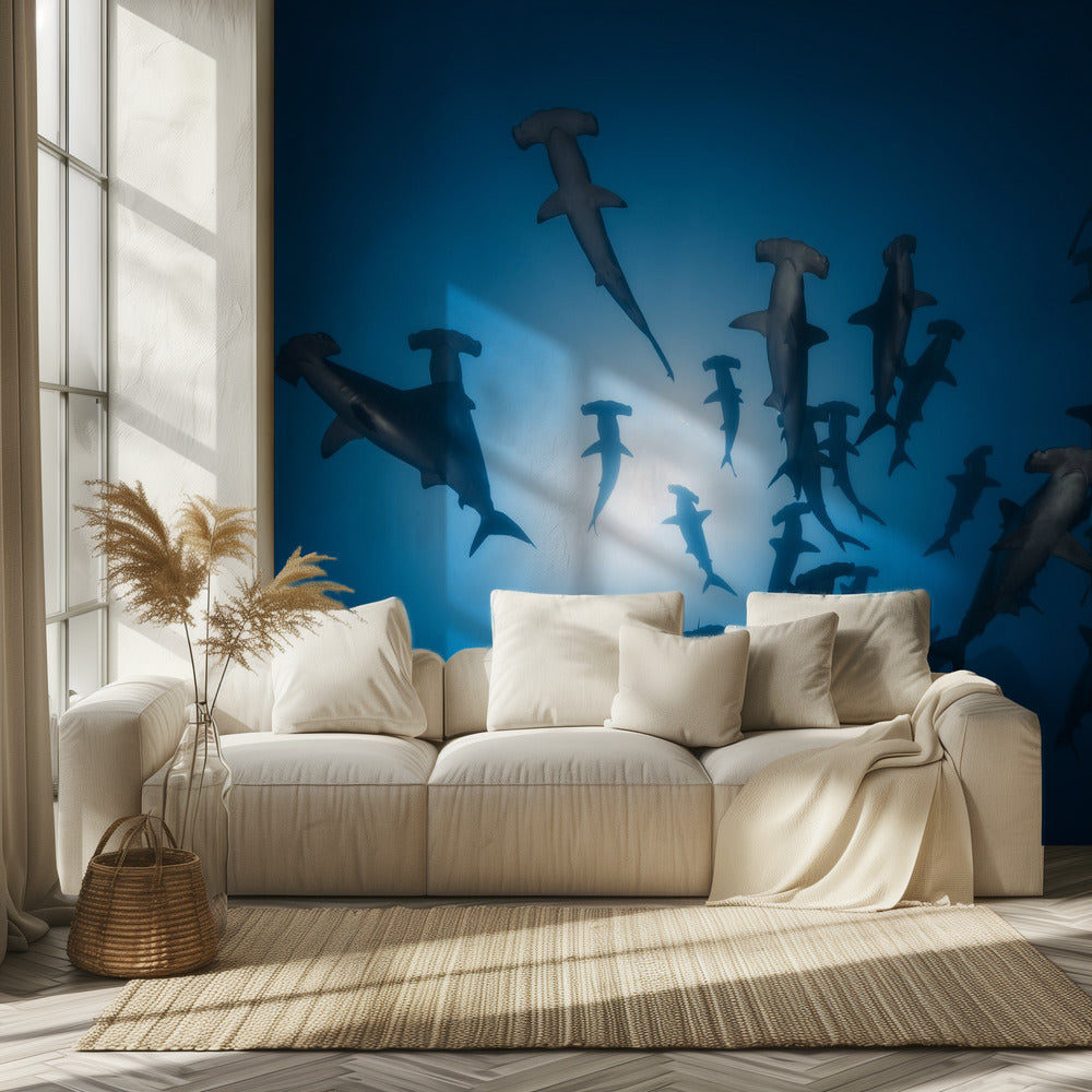 Hammerhead Shark - Underwater Photography | Wallpaper