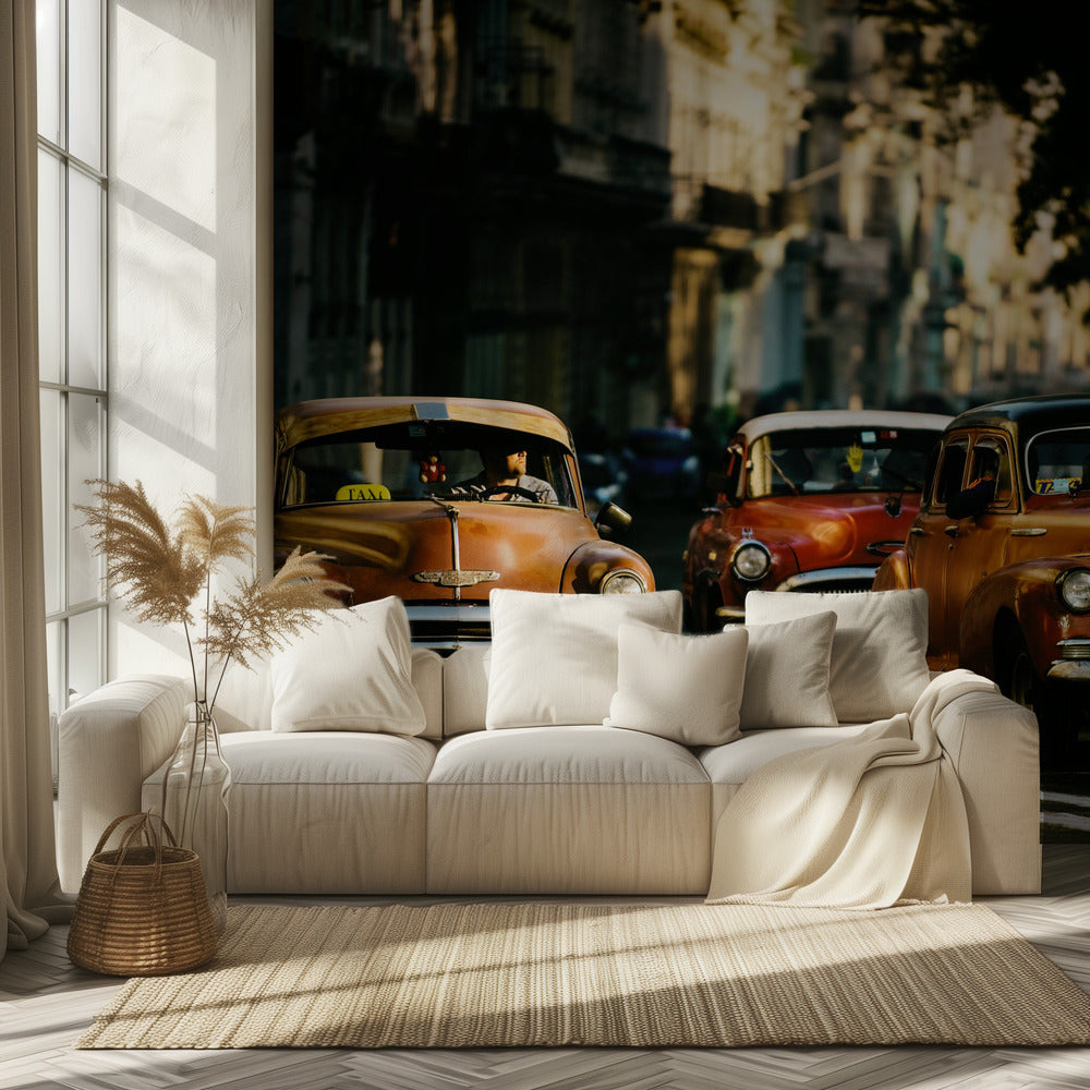 Come with me in the morning light | Wallpaper