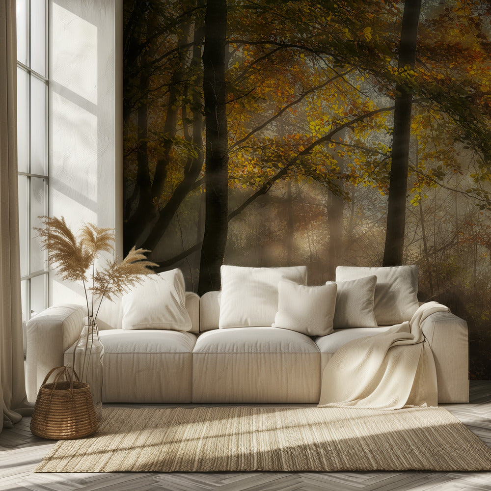 The lights of the forest | Wallpaper