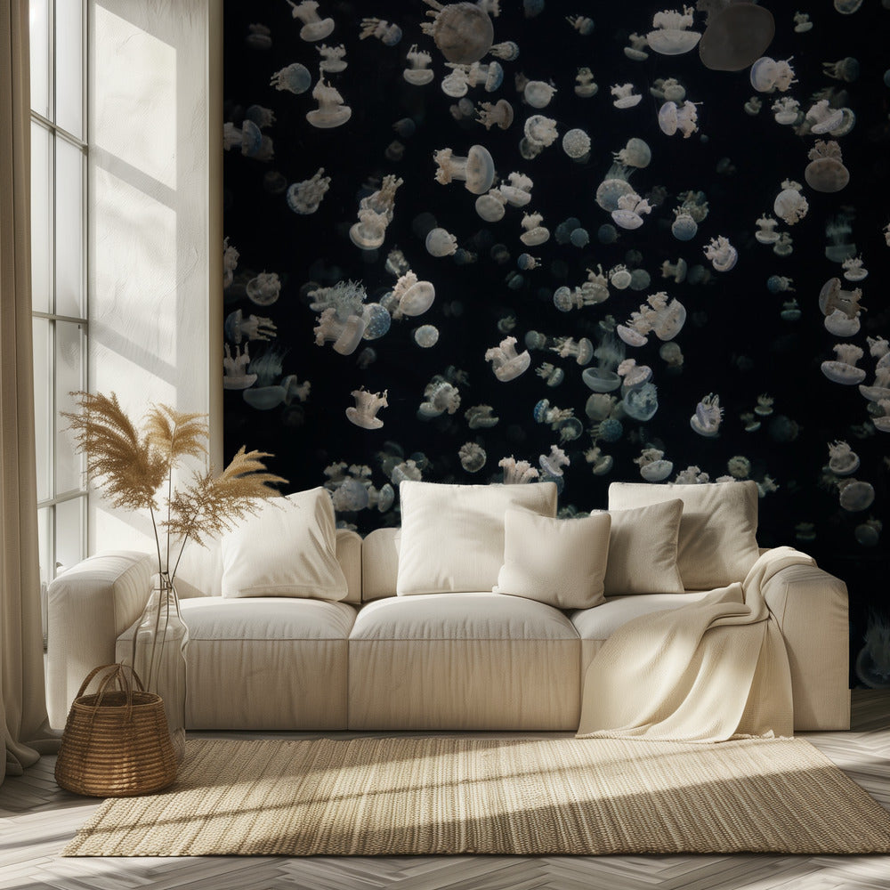 Just some Jellies | Wallpaper