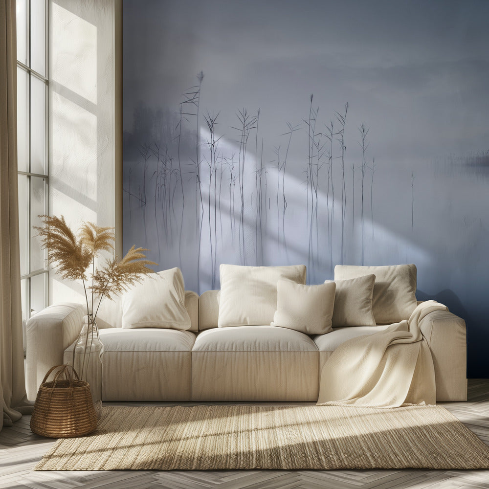 Untitled | Wallpaper