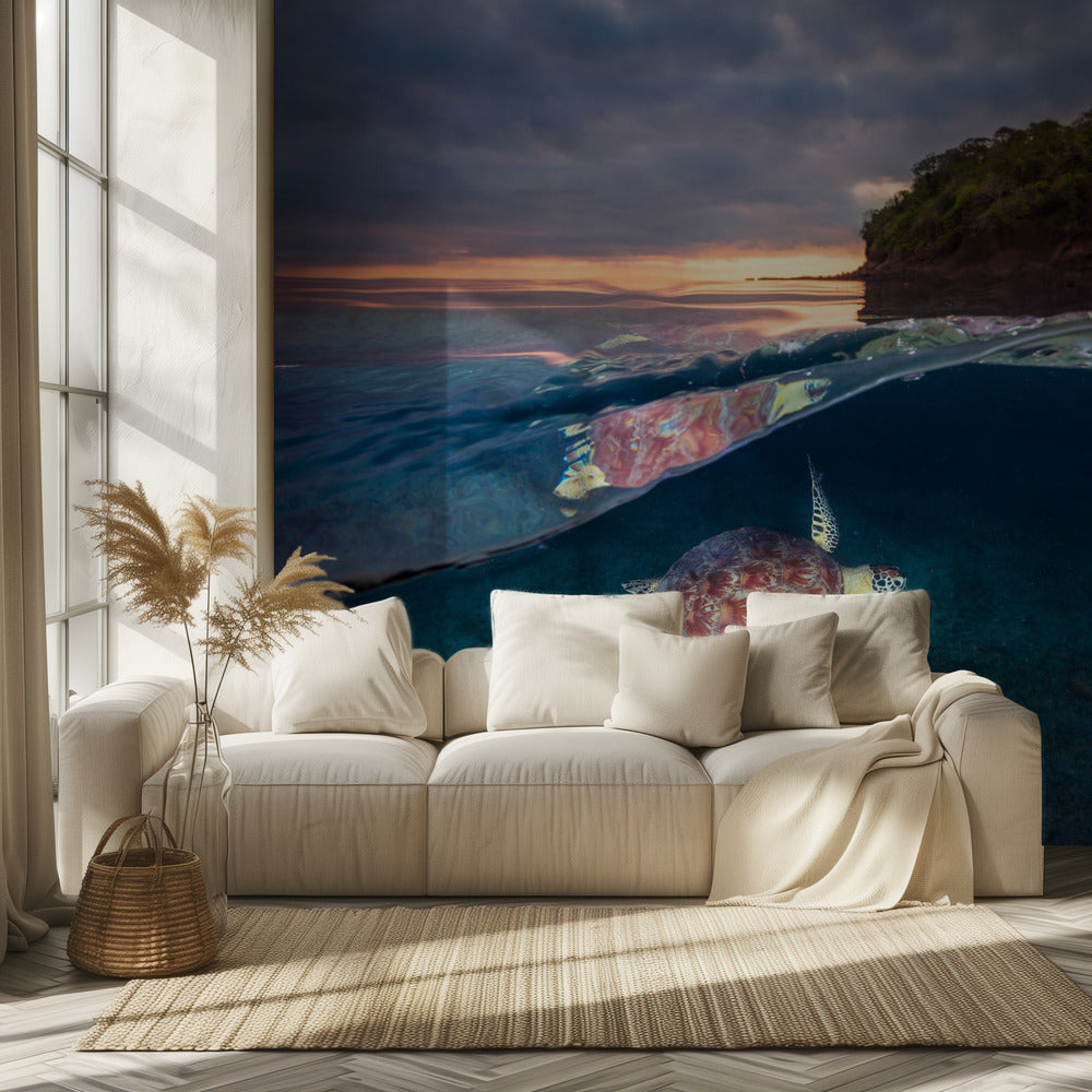 Green turtle with sunset | Wallpaper