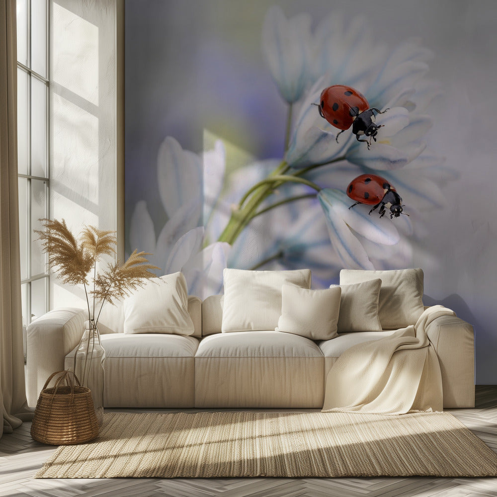 Ladybirds | Wallpaper