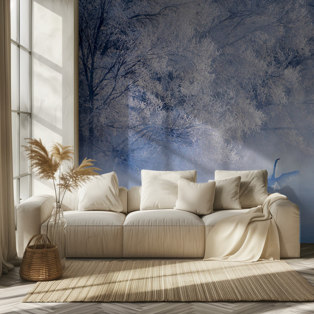 Swan Lake | Wallpaper