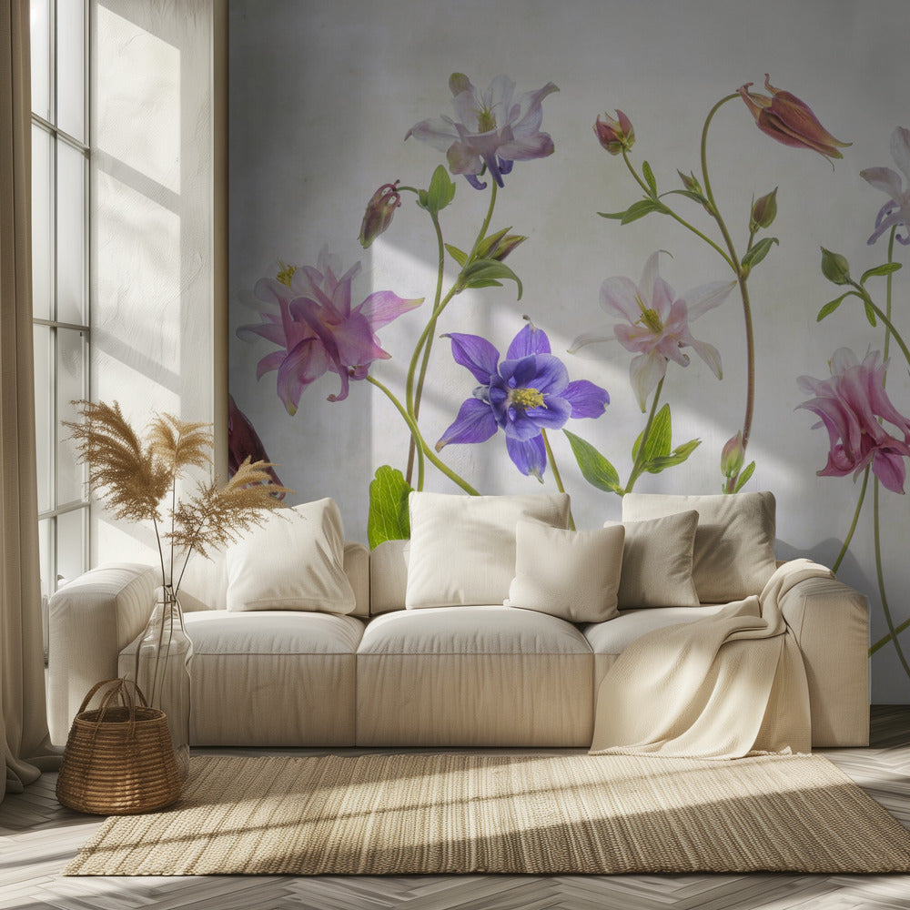 Columbine | Wallpaper