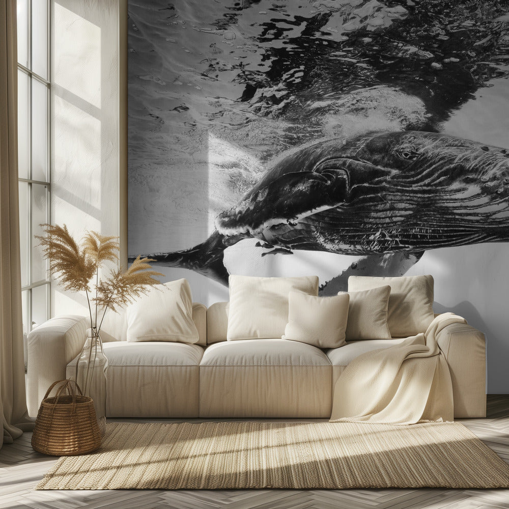 Humpback whale calf | Wallpaper