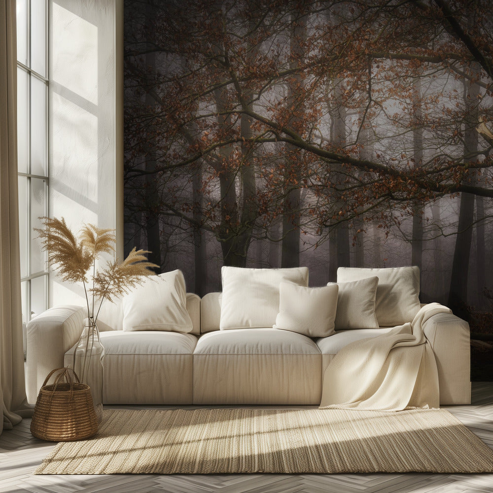 Foggy memory  of the past | Wallpaper