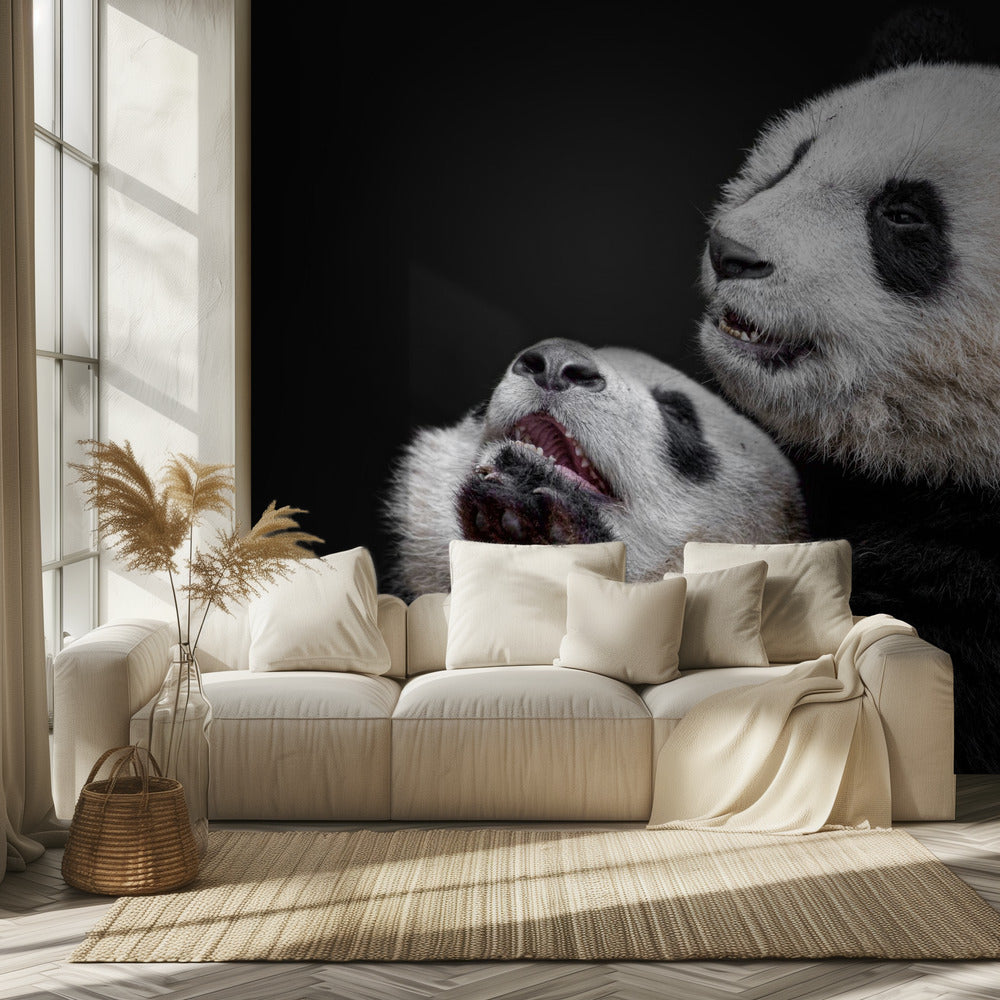 Pandas | Wallpaper