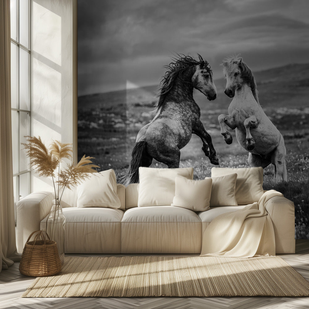 Wild and free | Wallpaper